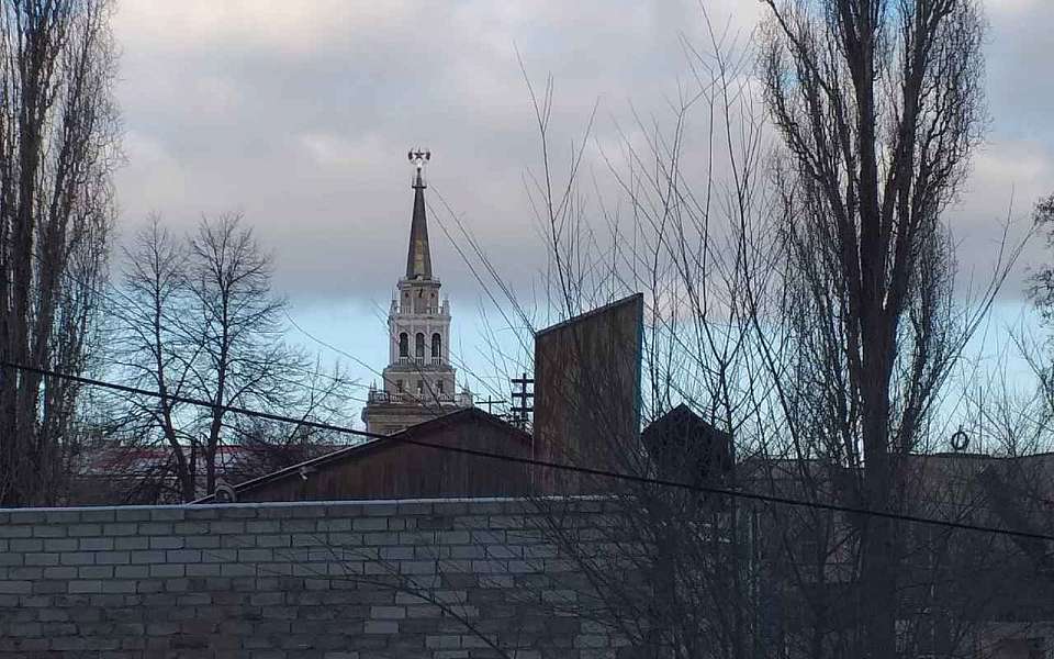 До +7 градусов потеплеет 29 февраля в Воронежской области