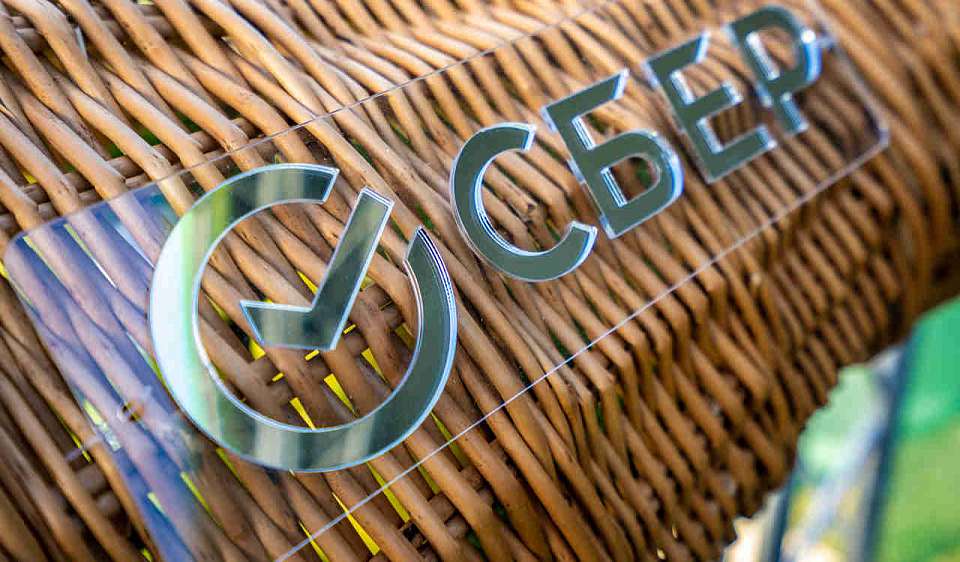 73% жителей Воронежа покупают страховки