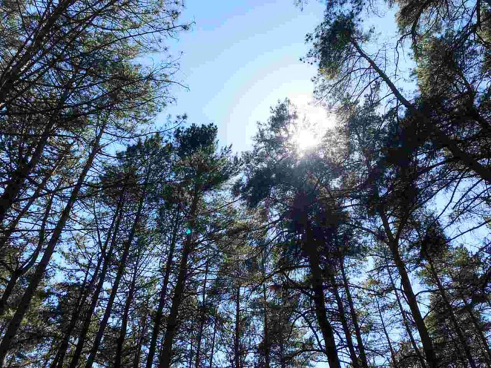 Погибшими нашли четверых пропавших без вести в Воронежской области