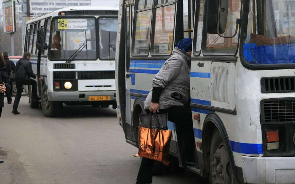 Дачные автобусные маршруты запустили в Воронеже с 11 апреля