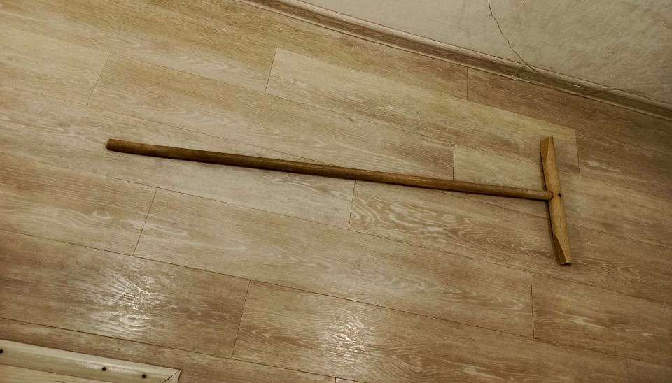 Пьяная 42-летняя женщина убила в Воронеже приятеля шваброй и ножами