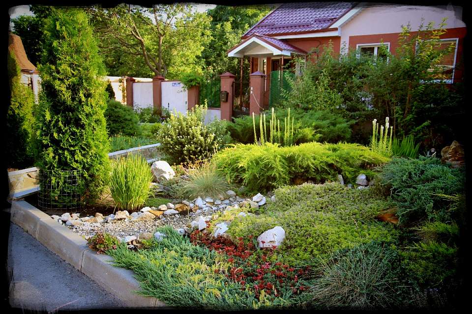 В частном секторе Центрального района прошли рейды по контролю за санитарным содержанием территорий