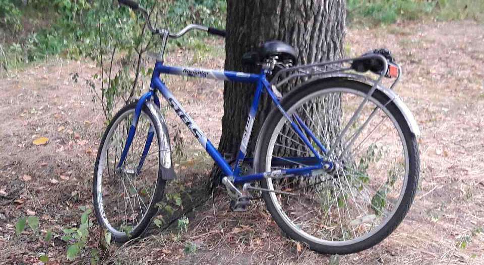 Спросившего дорогу ребёнка мужчина ударил кулаком в лицо в Воронежской области