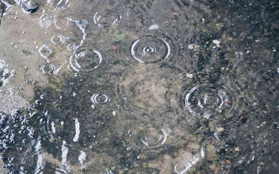 Дождь в Воронеже 26 марта спрогнозировали синоптики