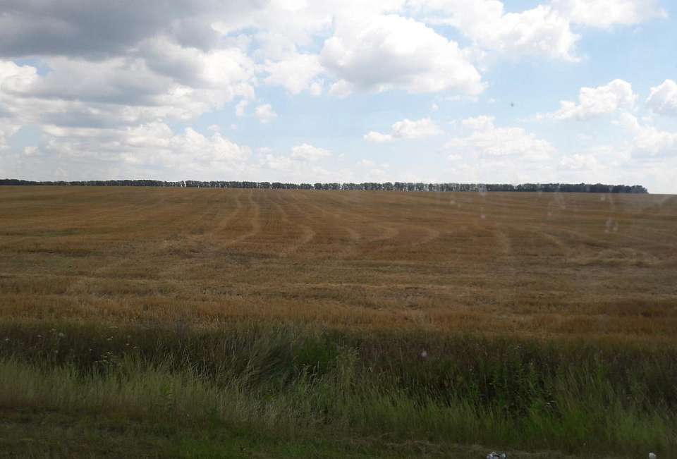 Режим ЧС из-за заморозков в Воронежской области отменён