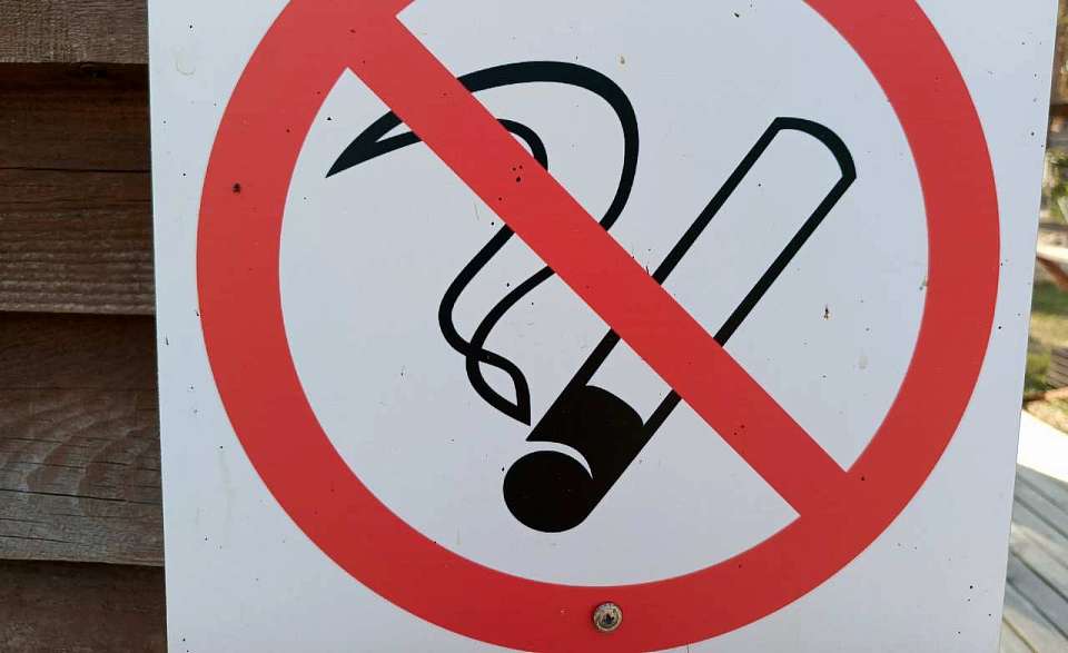 Воронежский суд запретил сайт для дистанционной продажи табачных изделий