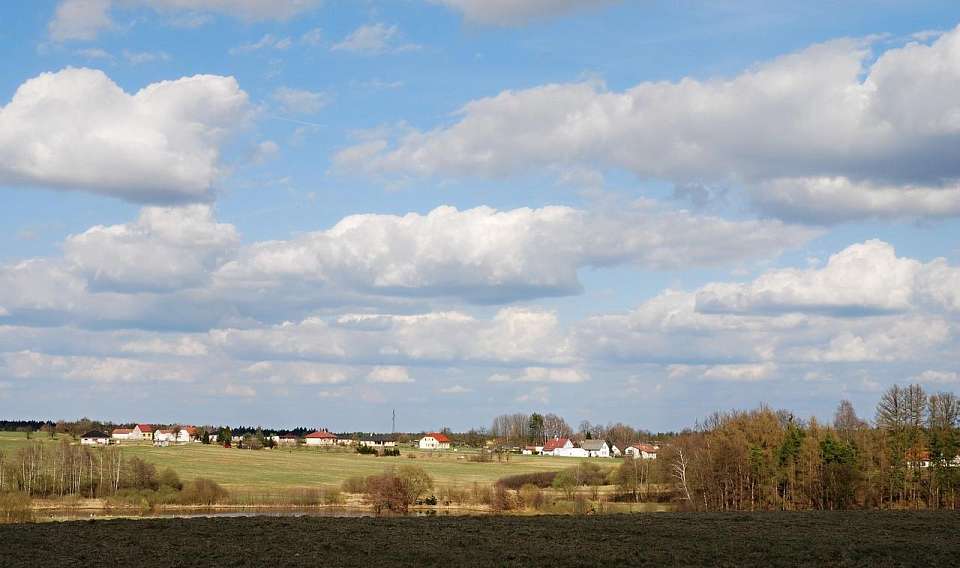 До +9 градусов потеплеет в Воронежской области