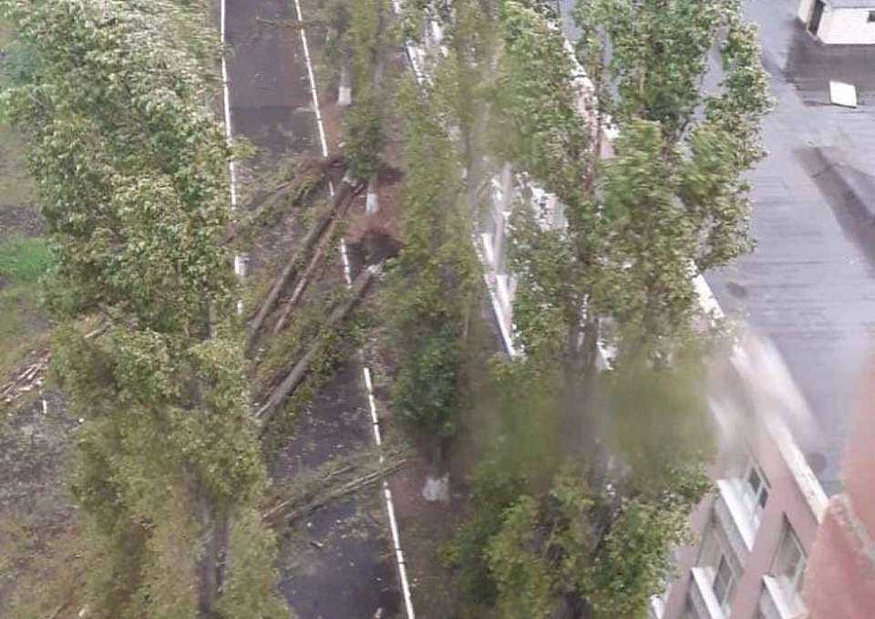 Работы по устранению последствий накрывшего Воронеж урагана мэр держит на контроле