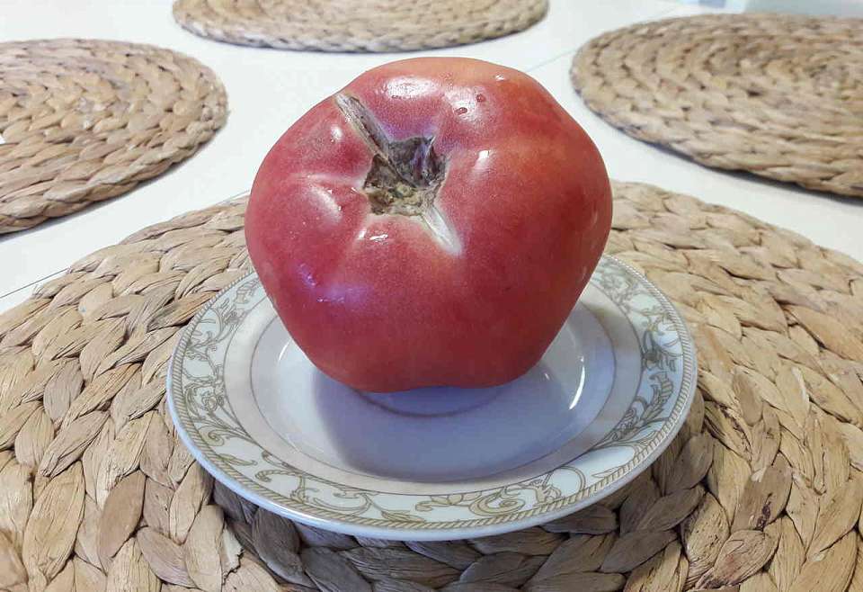 В цене выросли в Воронежской области свежие помидоры