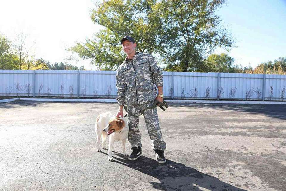 Стало известно, в какие дни в Воронеже можно посетить животных в муниципальном приюте