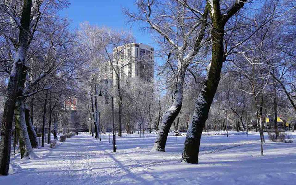 Ясный и морозный день ожидает 16 января воронежцев