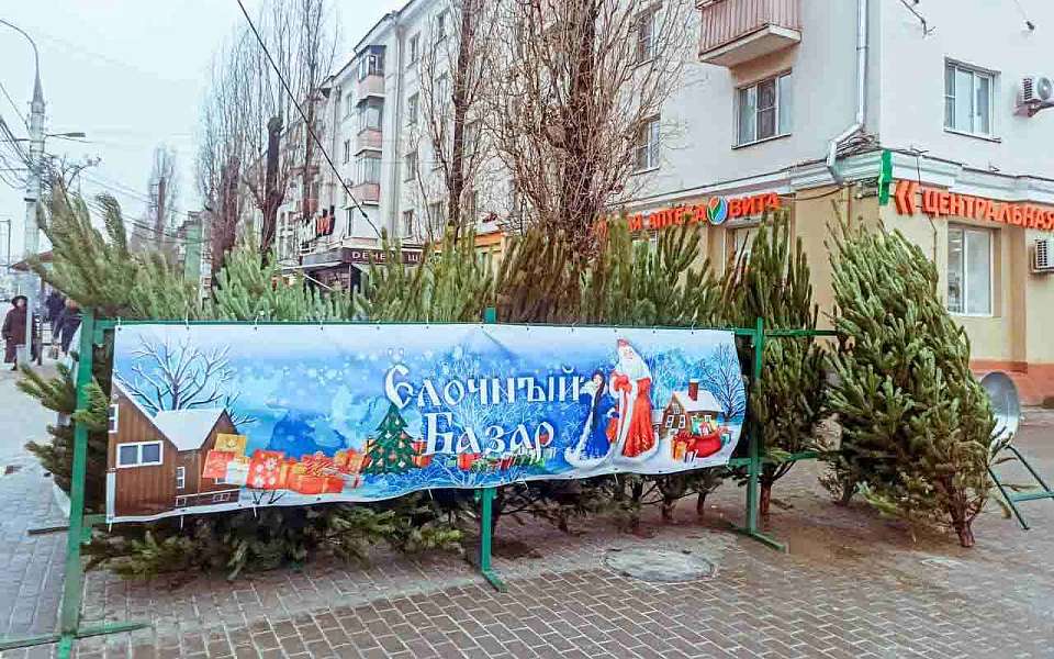 Какой будет погода 25 декабря, рассказали воронежские синоптики