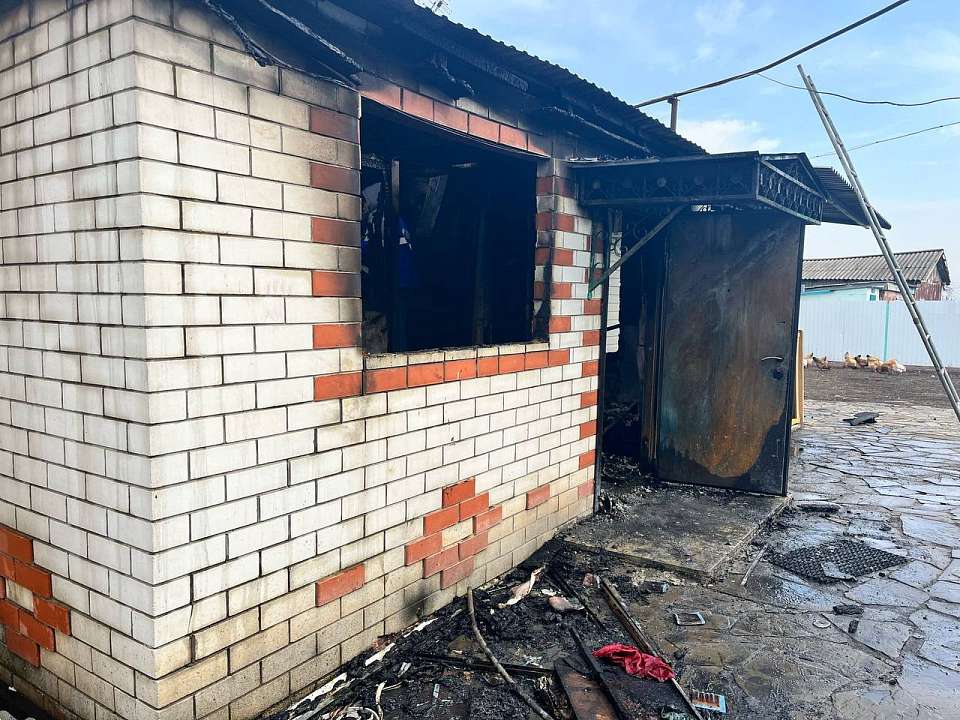 Следователи назвали возможную причину пожара с погибшими супругами в воронежском селе