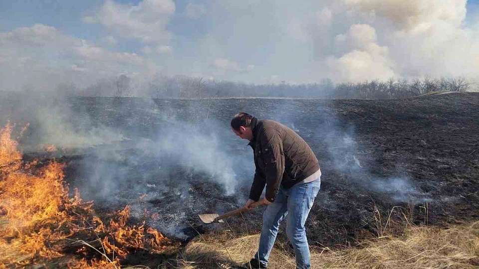 При пожаре в воронежском «Дивногорье» погибли животные и краснокнижные растения