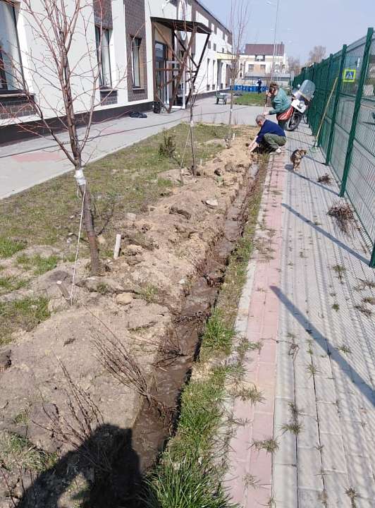 В Железнодорожном районе начались работы по озеленению