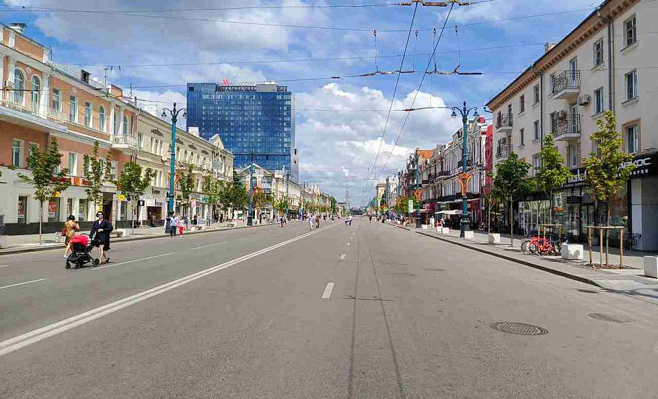 О замене деревьев на проспекте Революции рассказал мэр Воронежа