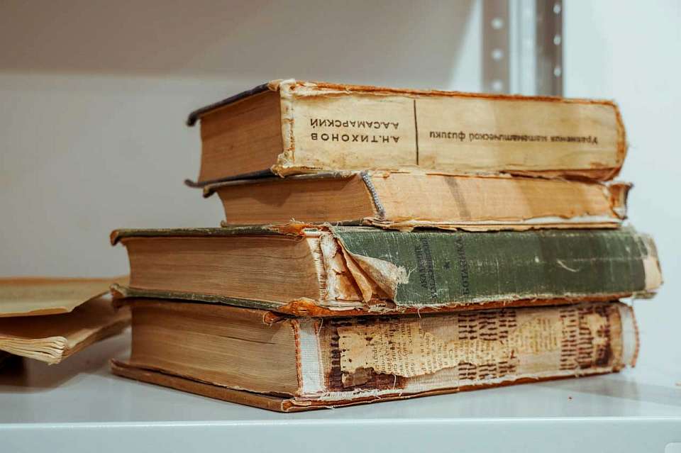 До 20 млн рублей готовы выделить для ремонта крыши Никитинской библиотеки в Воронеже