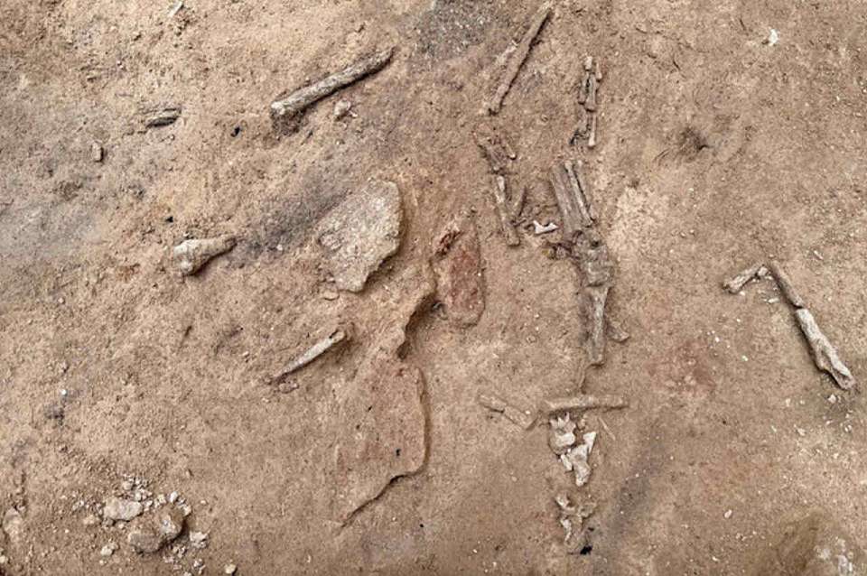 Украшения из раковин возрастом более 41 тыс. лет обнаружили в воронежских Костёнках