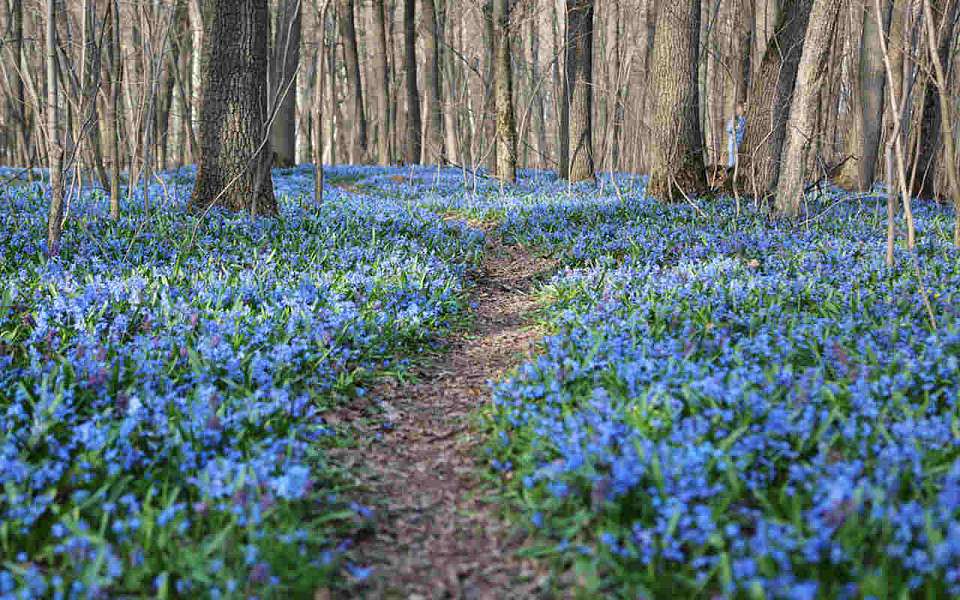 До +20 градусов потеплеет в выходные в Воронежской области