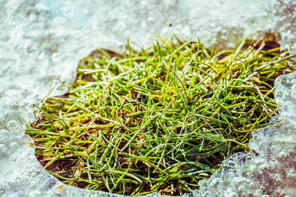 До +2 градусов потеплеет в воскресенье, 2 марта, в Воронежской области