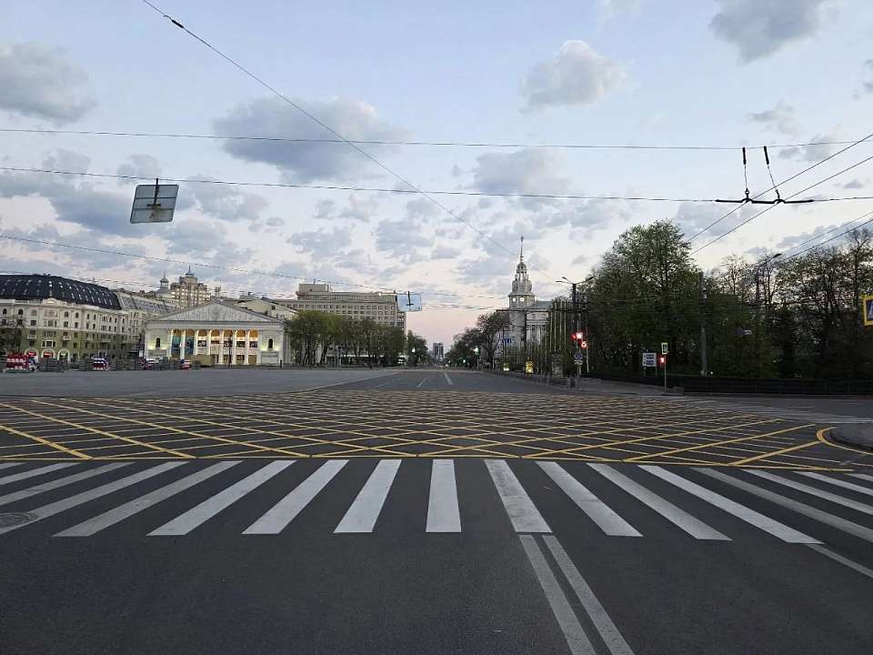 Вафельную разметку обновили на площади Ленина в Воронеже