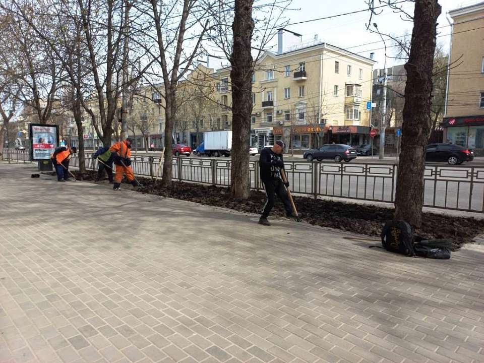 В Ленинском районе формируют газоны на Плехановской