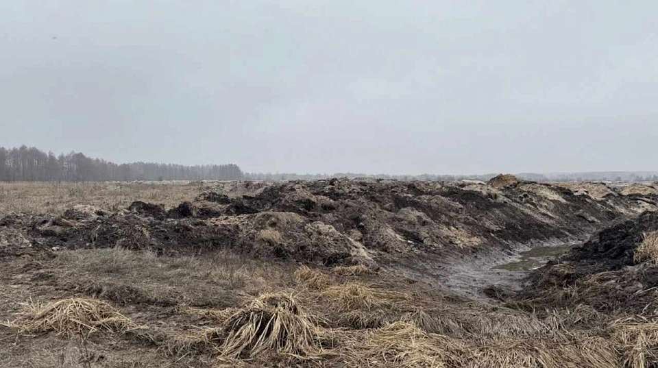 К уголовному делу привела в Воронежской области работа тяжелой техники на Усманке
