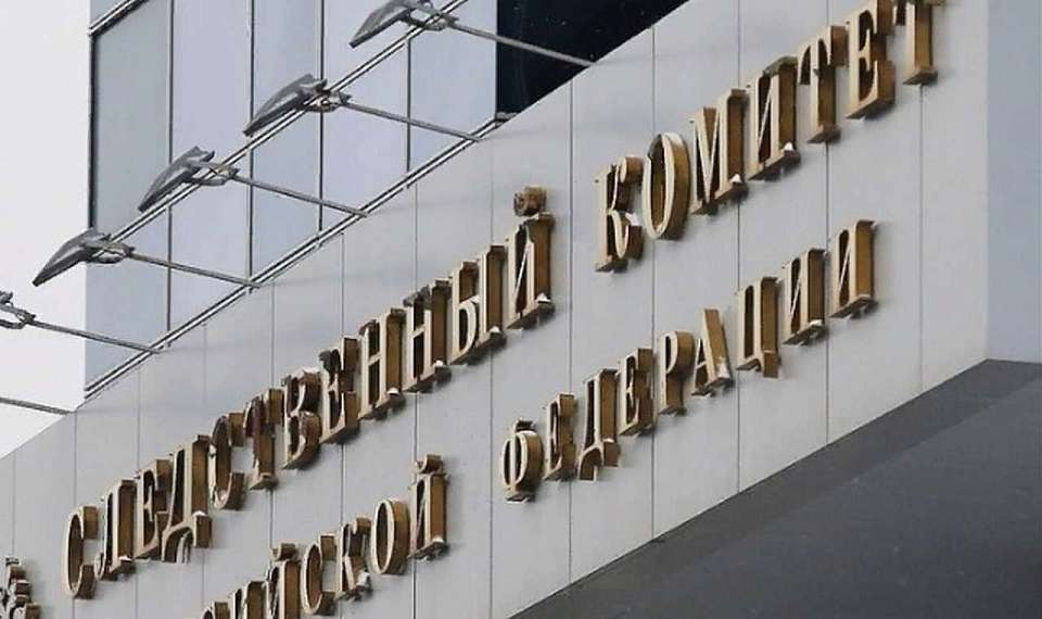 Бастрыкину доложат о ходе расследования уголовного дела об избиении мальчика в воронежской школе