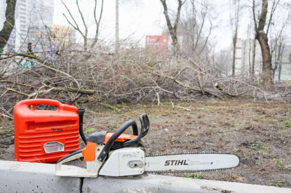 В мэрии Воронежа дали комментарий по обрезке деревьев у офтальмологической больницы 