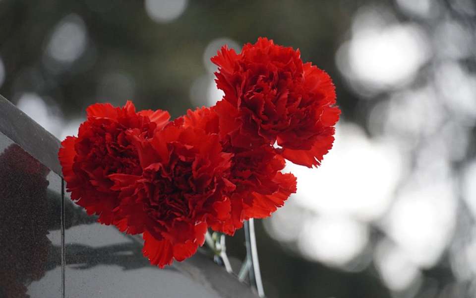 Школа жизни и доблести