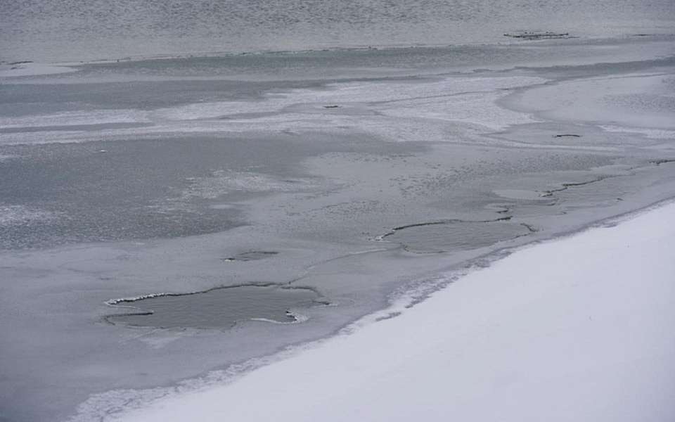 Резко потеплеет до +3 градусов в середине недели в Воронежской области
