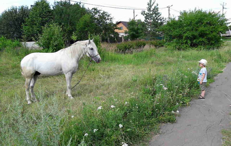 В Воронежской области резко подешевел и поменялся топ редких профессий