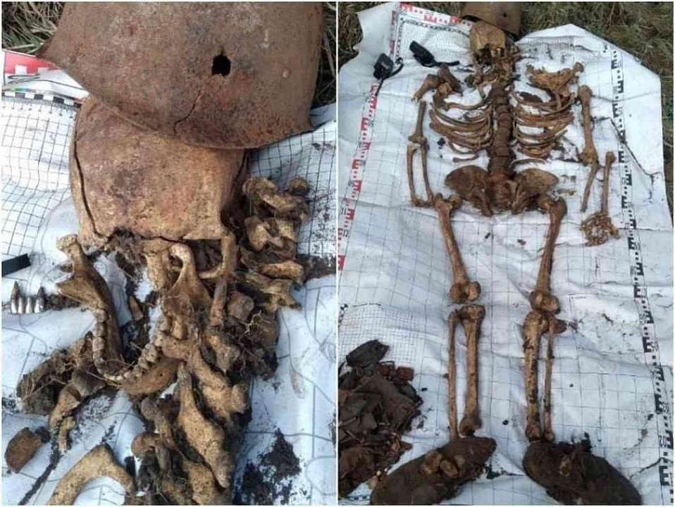 Останки бойца Красной армии нашли при раскопках в Воронежской области