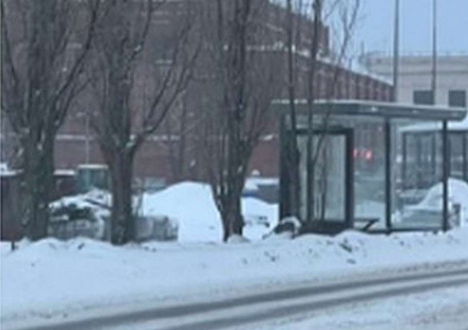 На обновляемой Петровской набережной Воронежа монтируют две умные остановки