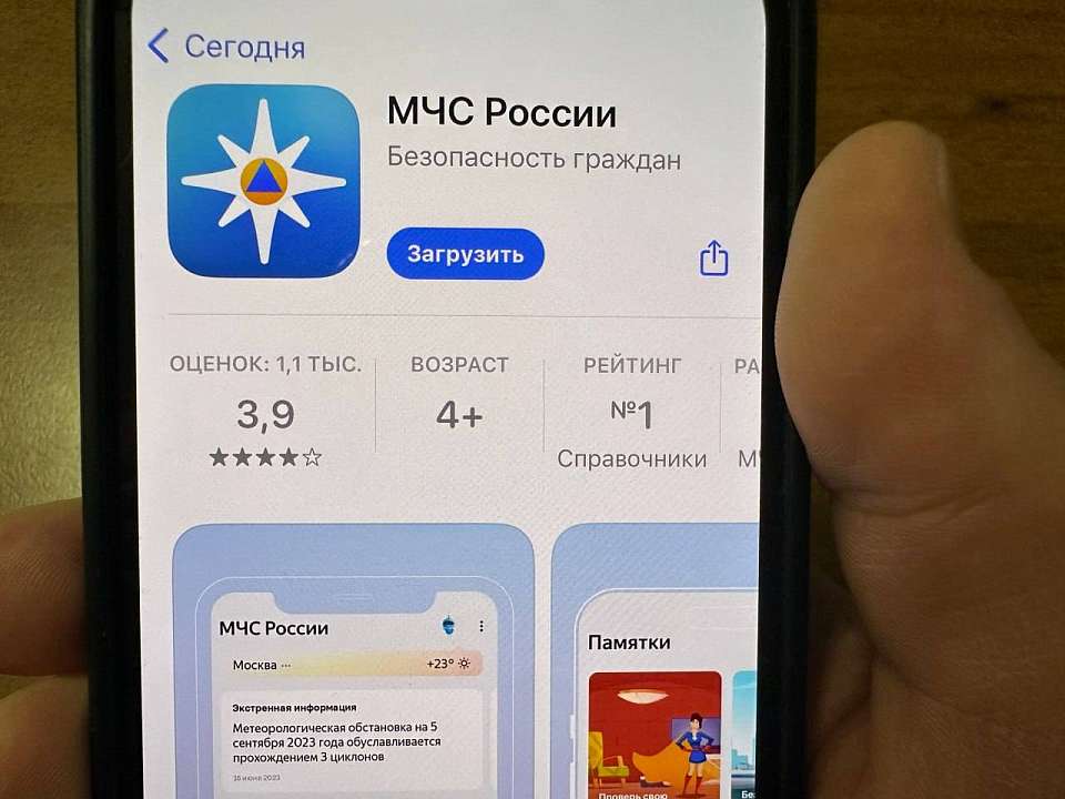 Следить за оперативной ситуацией с БПЛА воронежцам рекомендуют в мобильном приложении