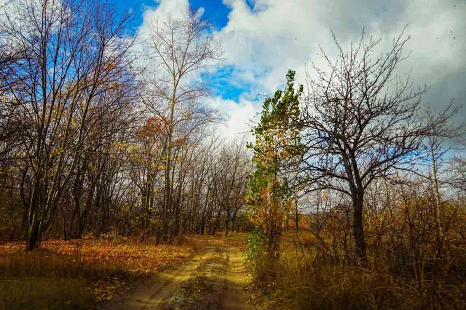 Потепление до +15 грядет в Воронежской области