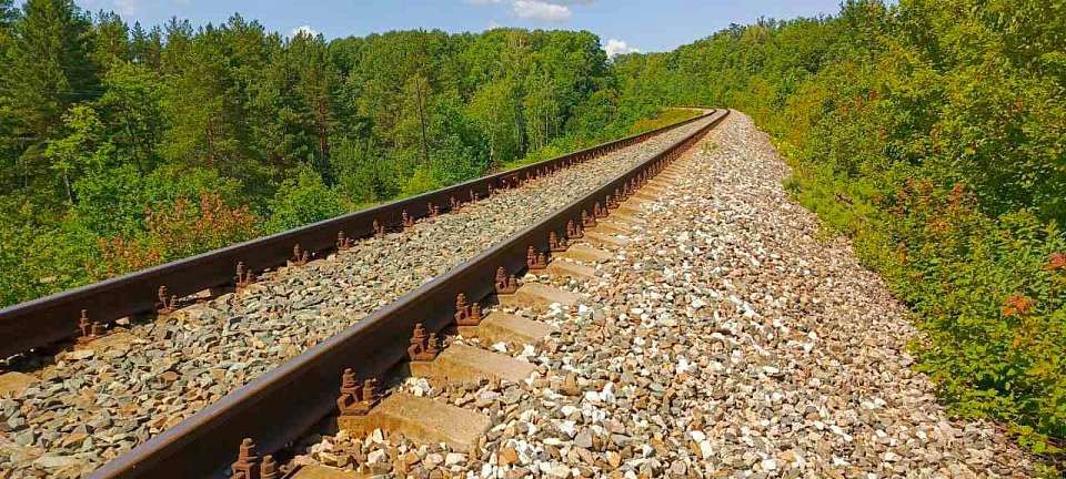 О вероятных изменениях в движении поездов в Воронежской области предупредили пассажиров