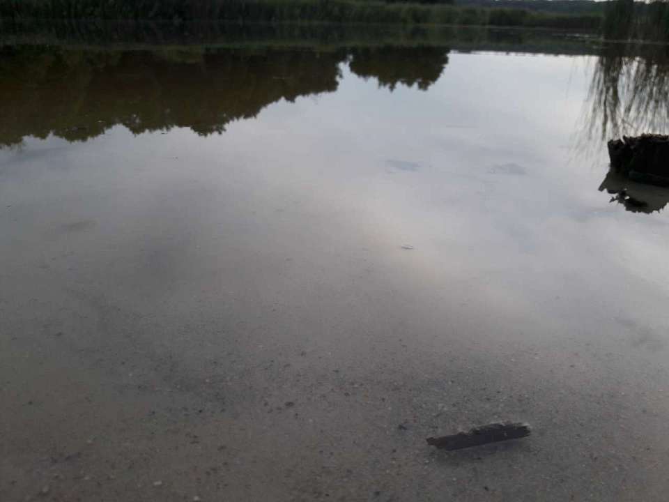 Из воды извлекли труп пропавшего без вести в Воронежской области отца двоих детей