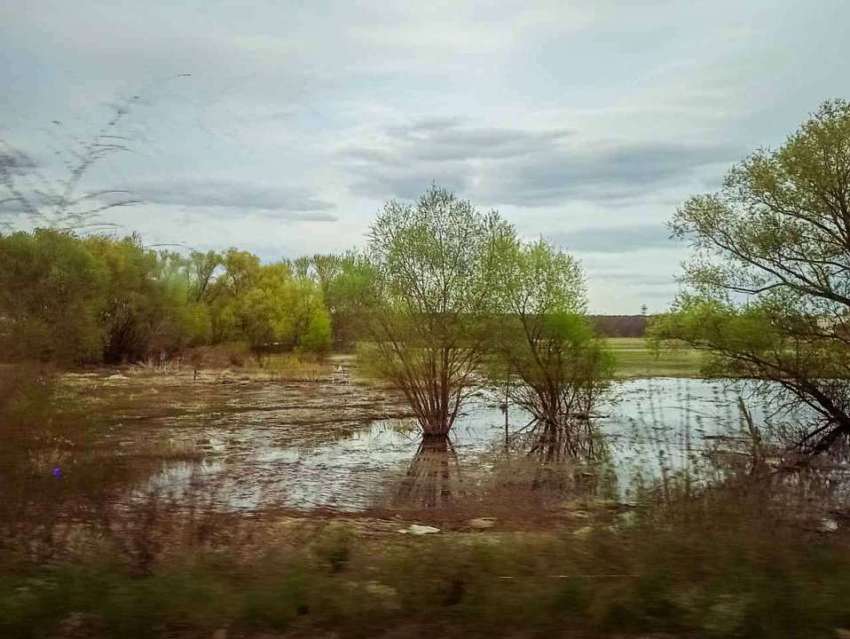 С начала 2025 года в ЕГРН внесено 18 зон подтопления и затопления в Воронежской области 