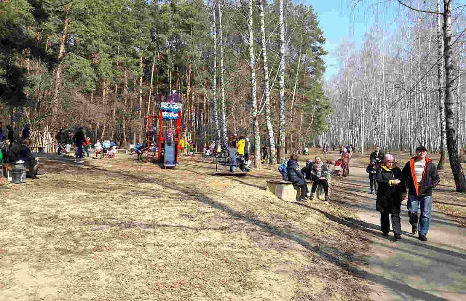 Погода 1 апреля и далее обещает быть тёплой в Воронеже