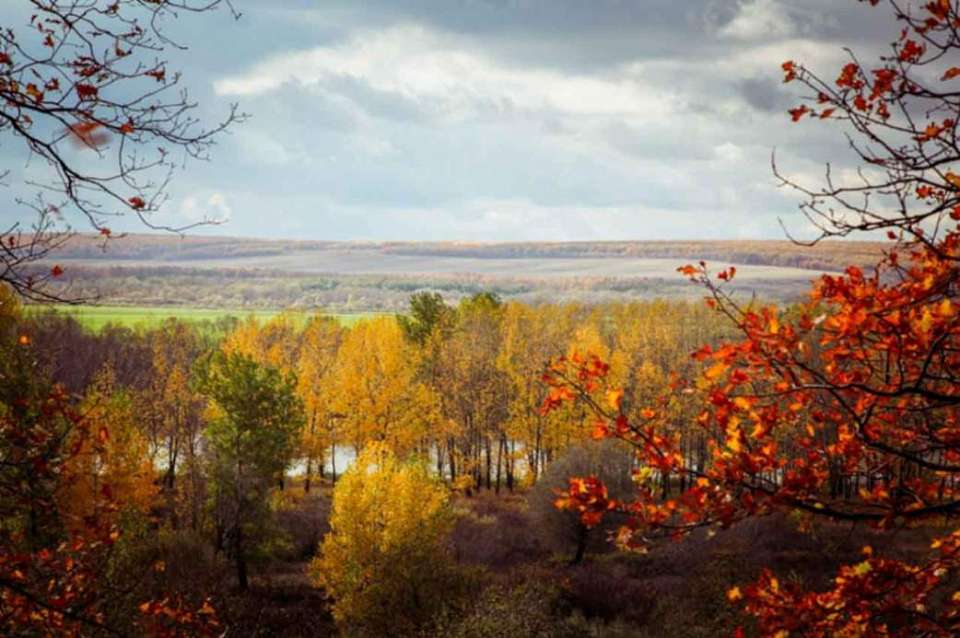 О погоде на четверг, 16 октября, рассказали воронежские синоптики