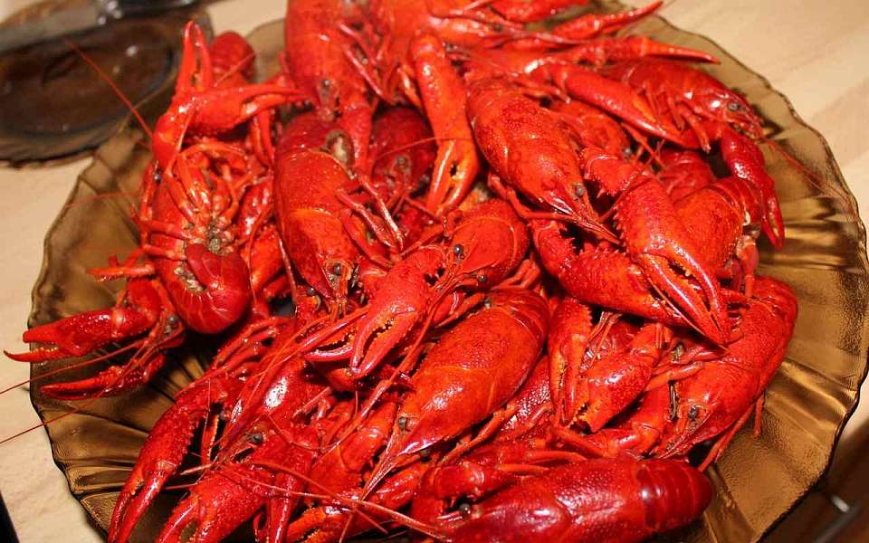 На 150 млн упала в цене акваферма по разведению раков под Воронежем