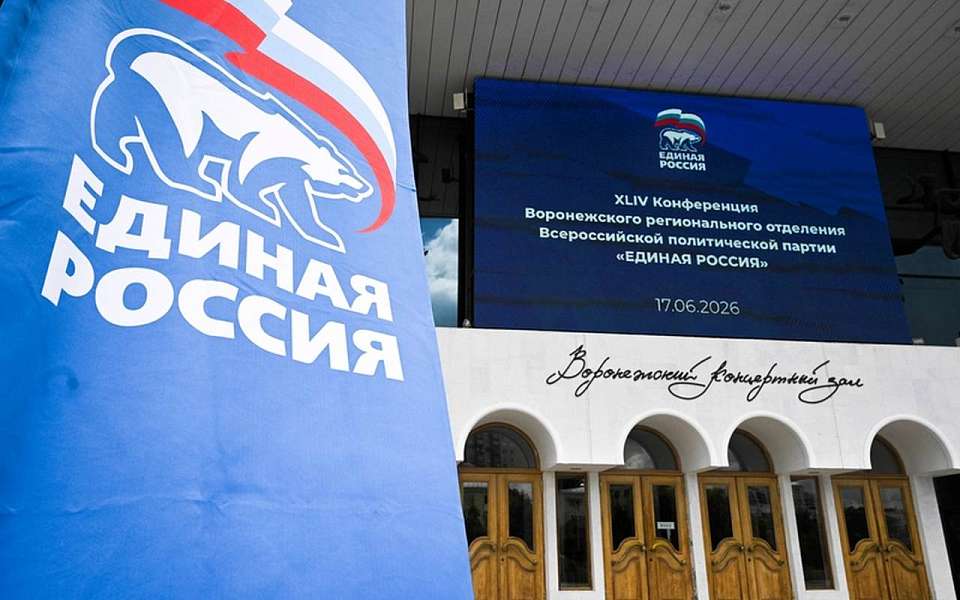 Делегатов на съезд партии выбрали участники конференции «Единой России» в Воронеже