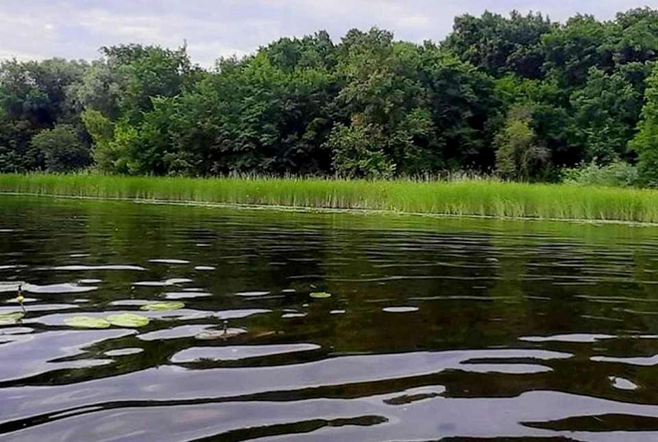 В Дону утонул 65-летний воронежец