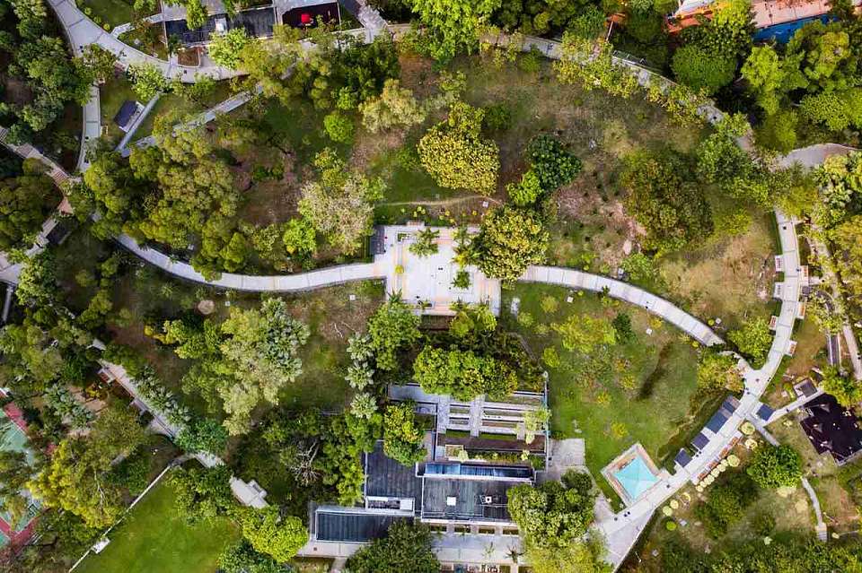 Сразу 9 Сувенирных улиц появилось в Воронеже 