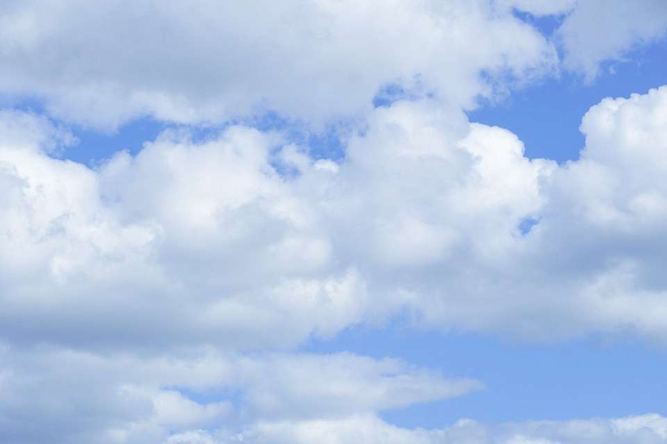 До +38 градусов раскалится воздух 5 июля в Воронежской области