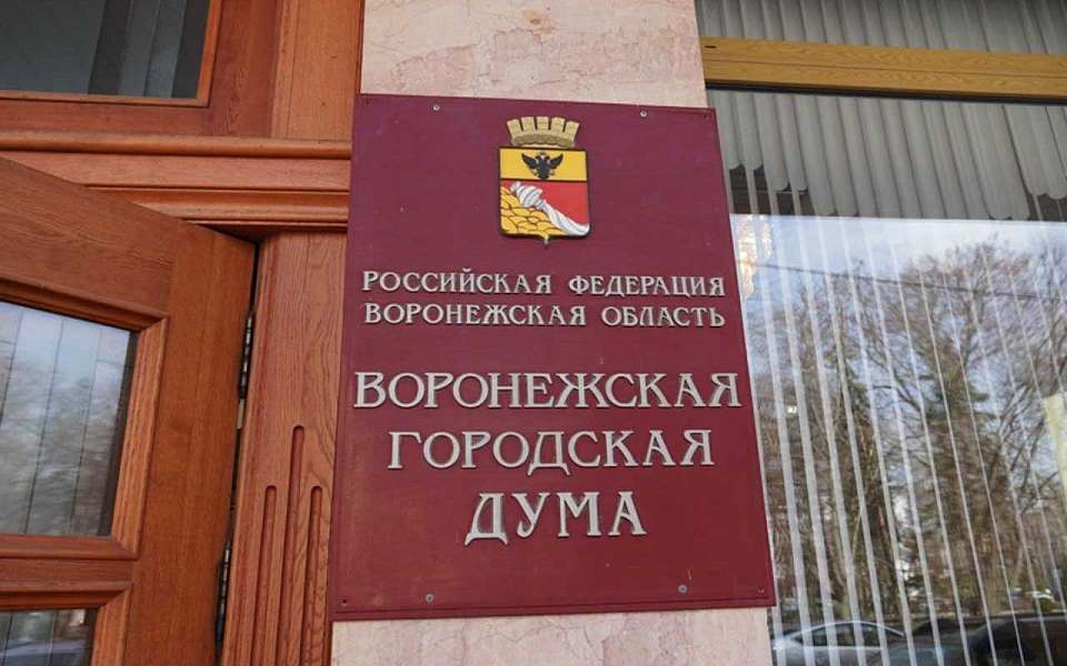 С инициативой к губернатору обратилась Воронежская городская дума