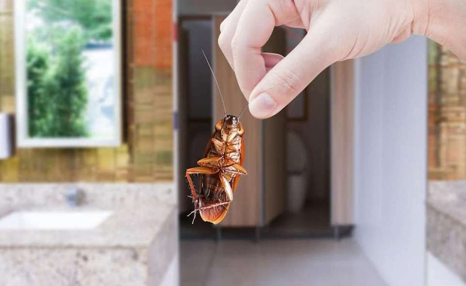 Родителей учеников школы под Воронежем  возмутил «тараканий суп»