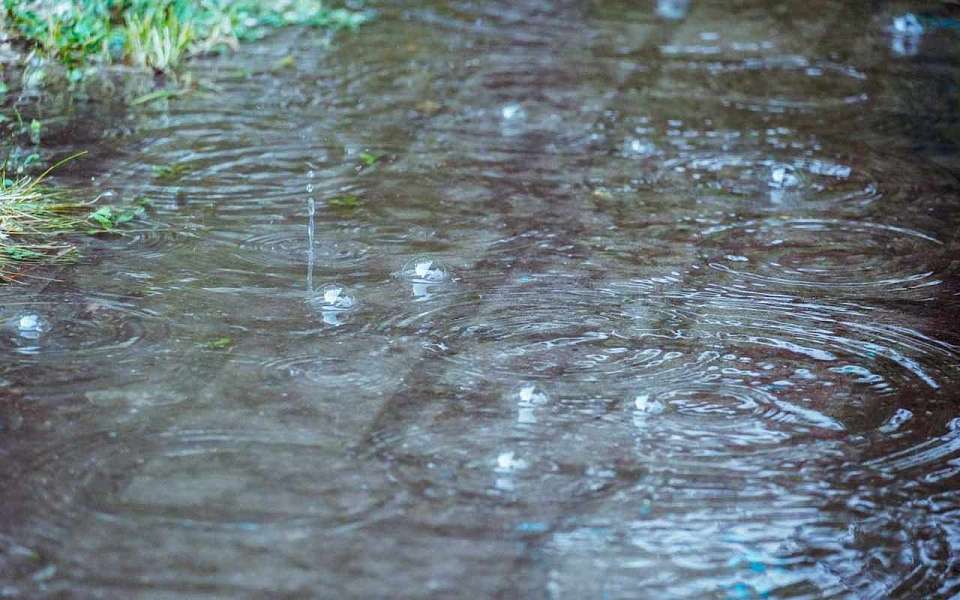 Дожди вернутся в выходные дни в Воронежскую область