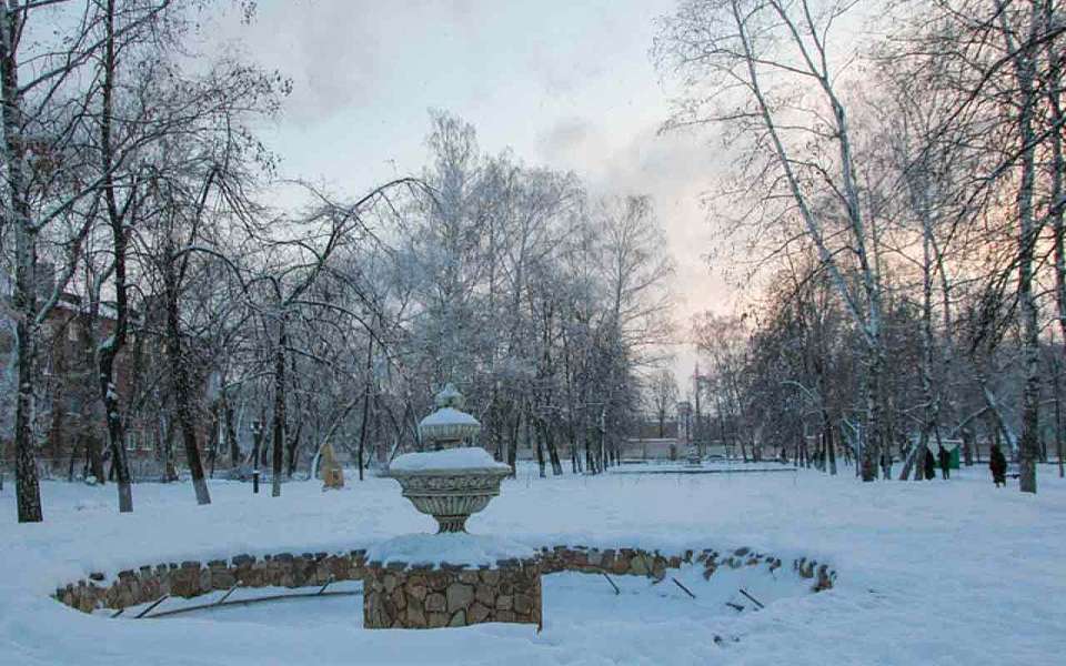 Бесснежный и морозный день ожидает 19 января воронежцев